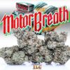 Buy motor breath jungle boys online