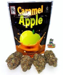 Buy Caramel Apple Backpack Boyz Online
